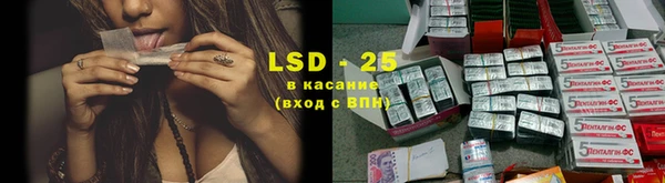 сатива Алзамай